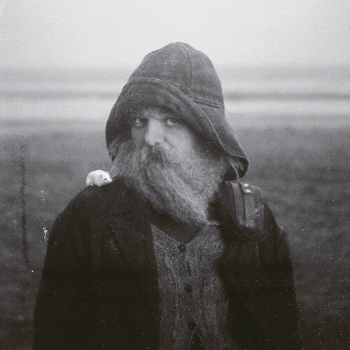 Mary In The Junkyard - Role Model Hermit (Clear Vinyl)