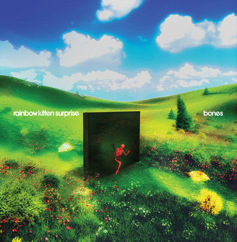 Rainbow Kitten Surprise - Bones (Yellow Vinyl)