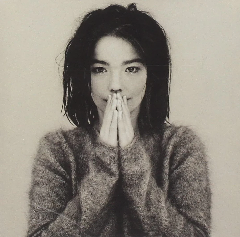 Björk - Debut